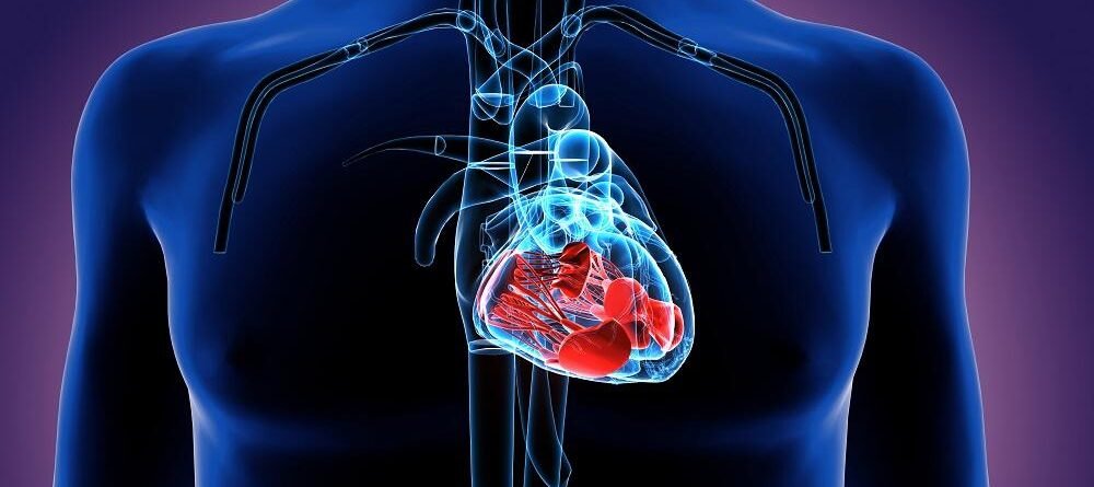 Les fumeurs qui passent au vapotage constatent des améliorations des fonctions myocardiques – VAPES