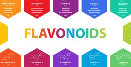 What Are Flavonoids in Cannabis