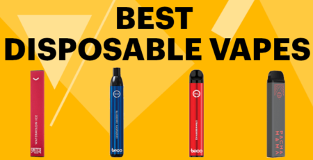 Best Disposable Vapes 2021